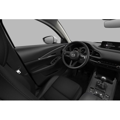 MAZDA CX-30 | M RENTING  - Ofertas - Cuotas - Información